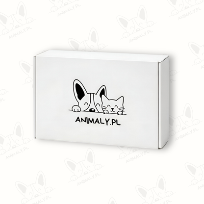 Personalizowana lampka LED | Animaly™