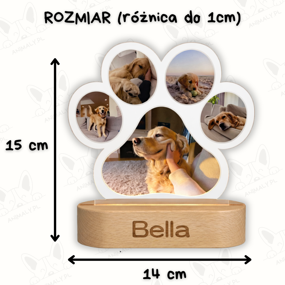 Personalizowana lampka LED | Animaly™